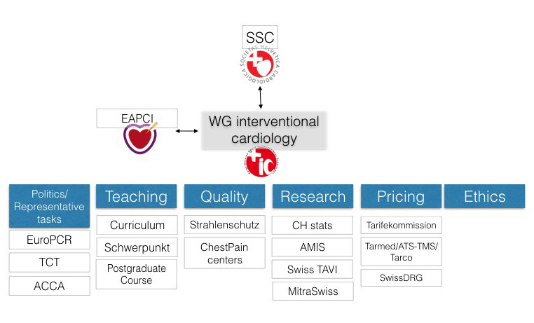 WG international cardiology